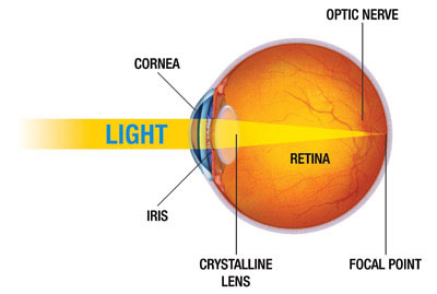 How does the eye work?